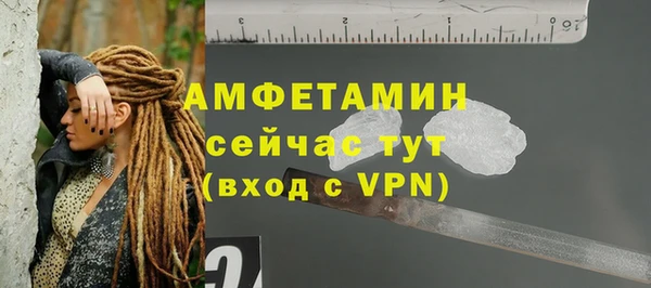 дмт Каменка