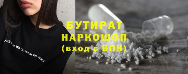 дмт Каменка