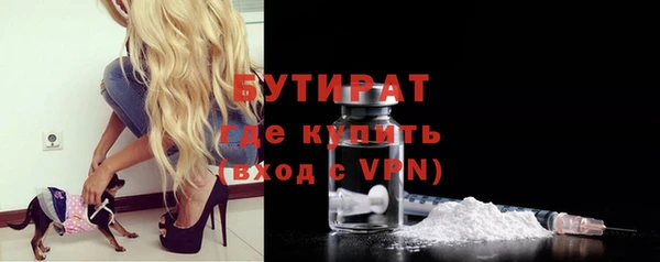 дмт Каменка