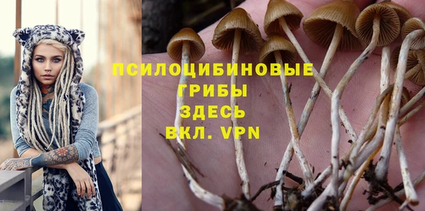 молекула духа Мегион