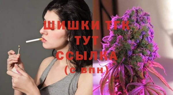 дмт Каменка