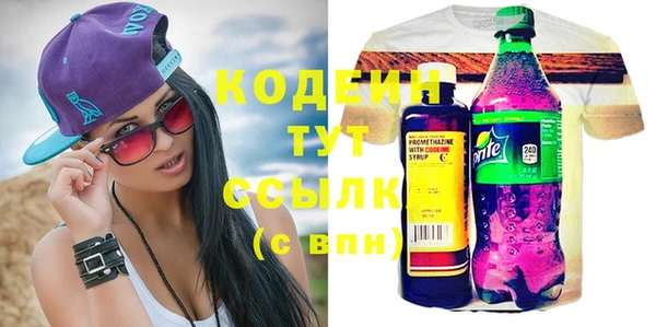 дмт Каменка