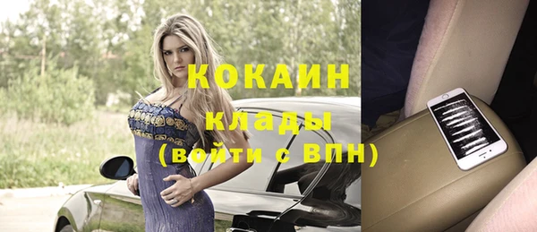 дмт Каменка