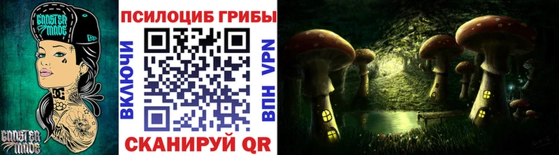 Галлюциногенные грибы прущие грибы  Елабуга 