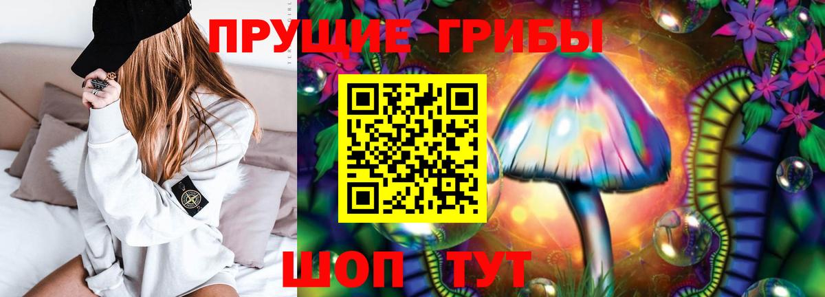 Галлюциногенные грибы мицелий Елабуга